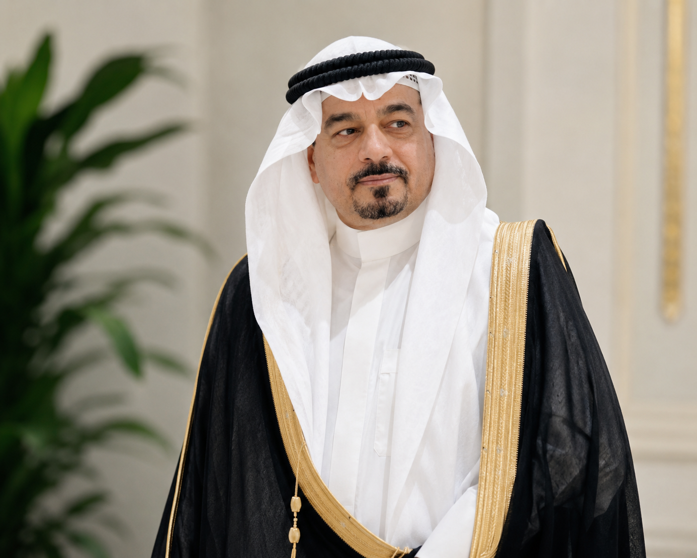 ا.د/ أنس سراج دبلول